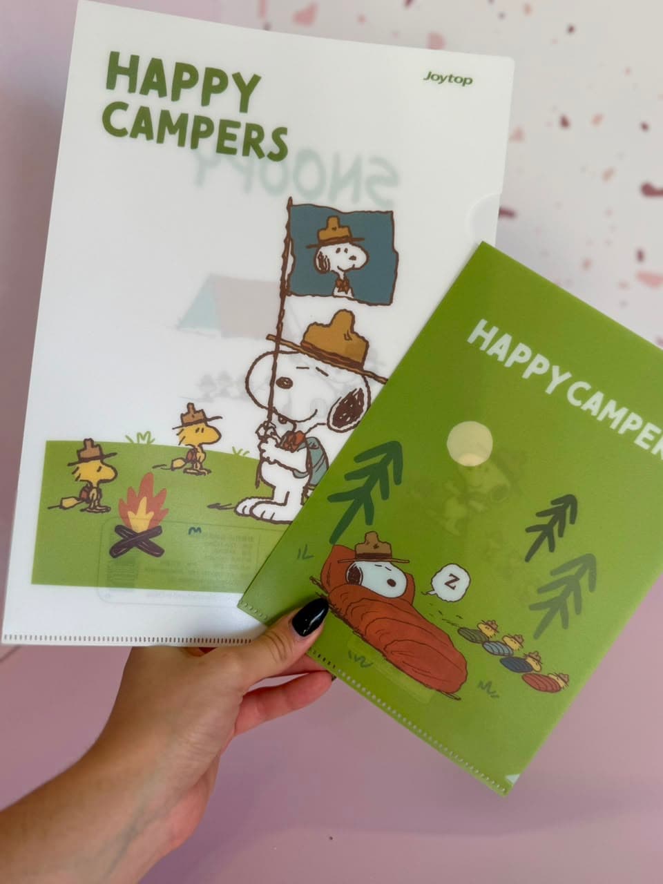 Set archivador Snoopy