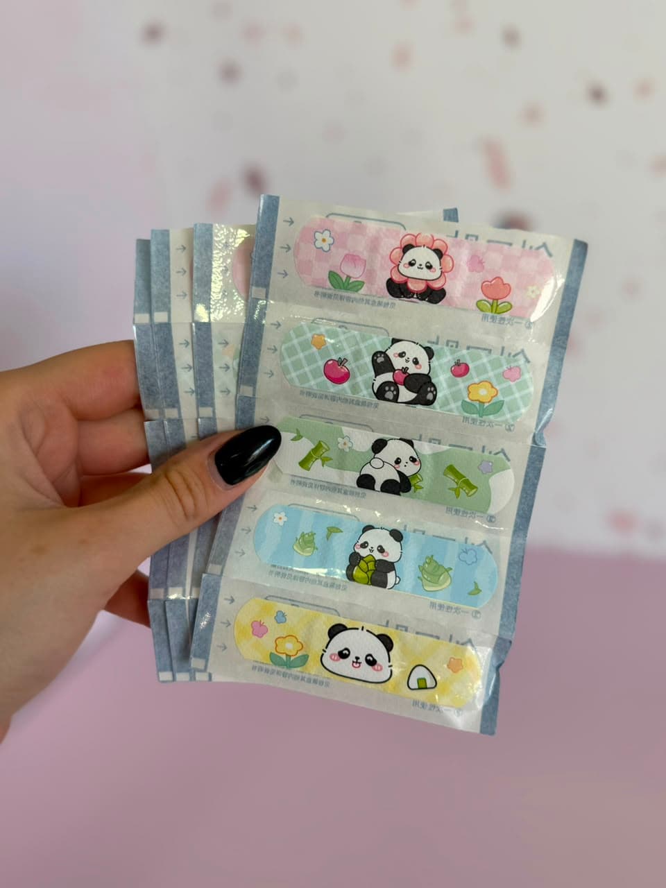 Curitas panda